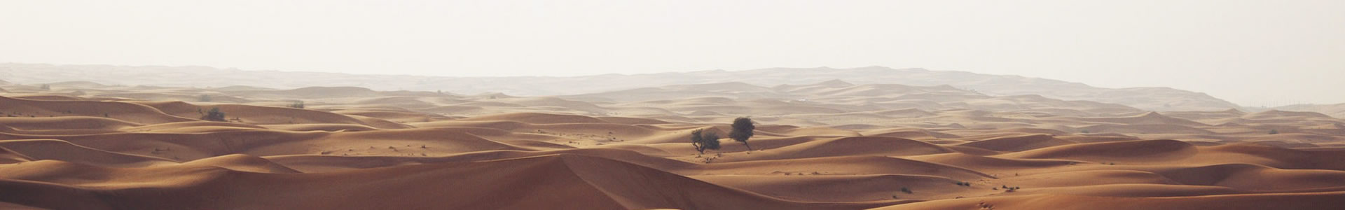 Ż巿޹˾